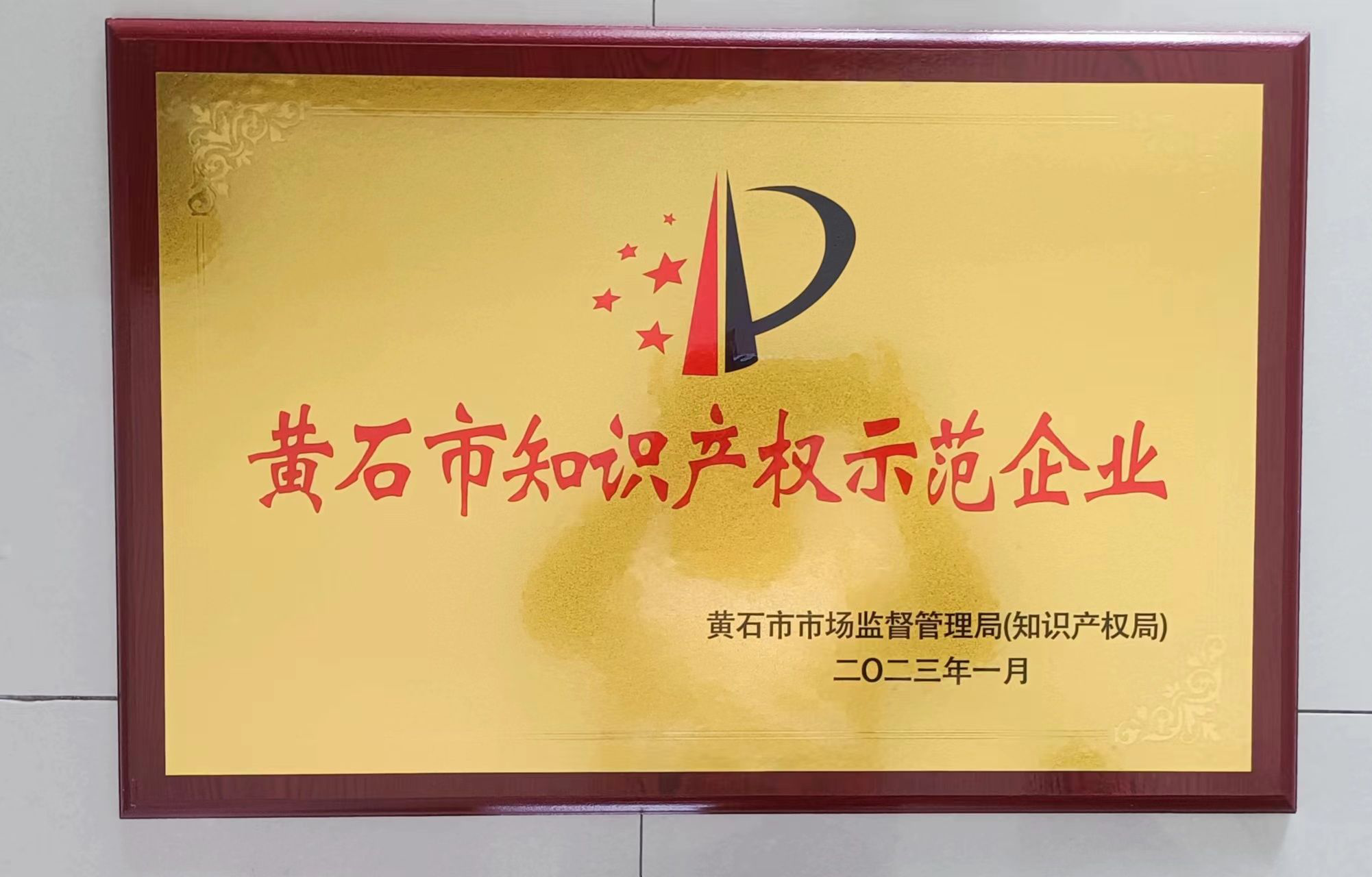 黃石市知識產權示范企業(yè)